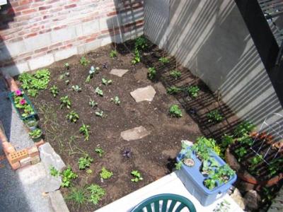 Conventional and soilless gardening in harmony